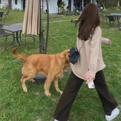 盖尔芒特家情事